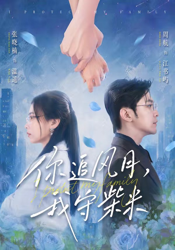 你追風月，我守柴米 短劇封面