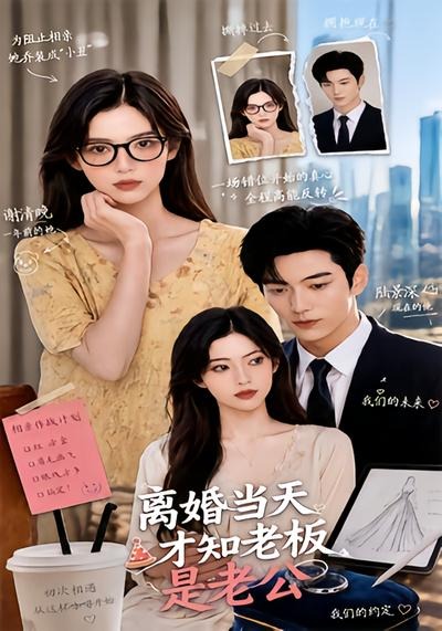 離婚當天才知老板是老公 短劇封面