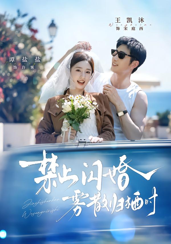 禁止閃婚，霧散歸棲時 短劇封面