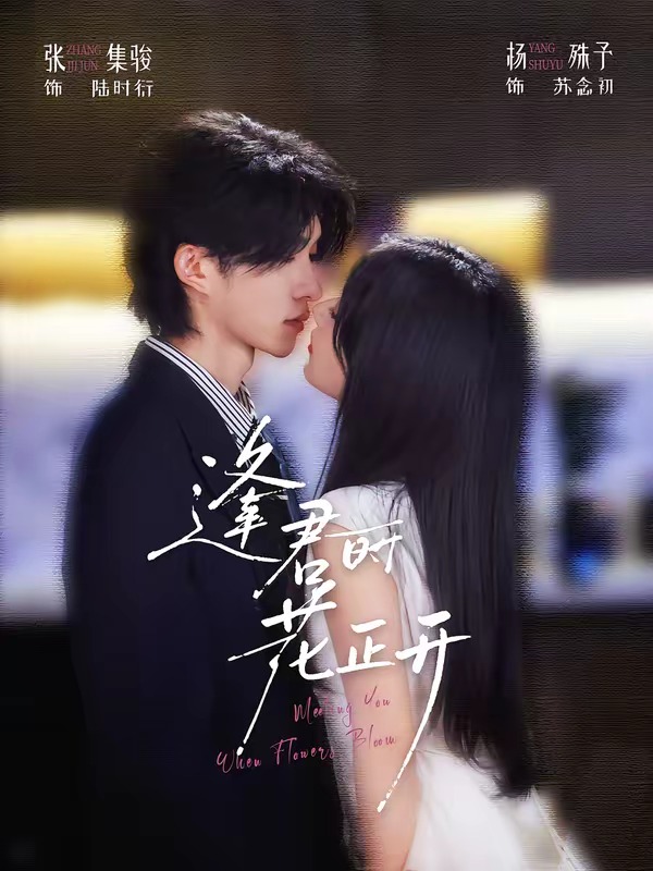 逢君時花正開 短劇封面