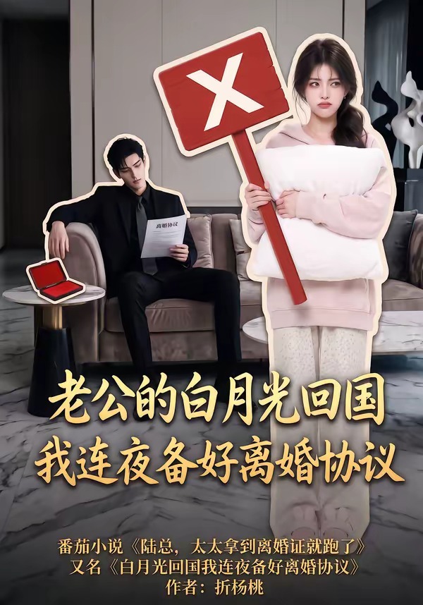 老公的白月光回國我連夜備好離婚協議 短劇封面