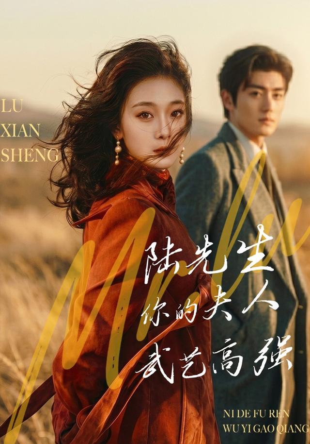 陸先生，你的夫人武藝高強 短劇封面