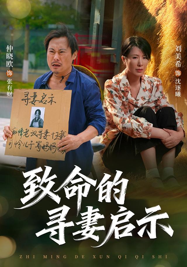 致命的尋妻啟示 短劇封面