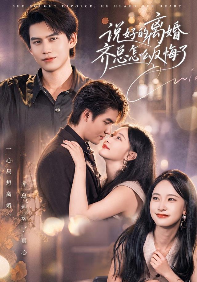 說好的離婚齊總怎麼反悔了 短劇封面
