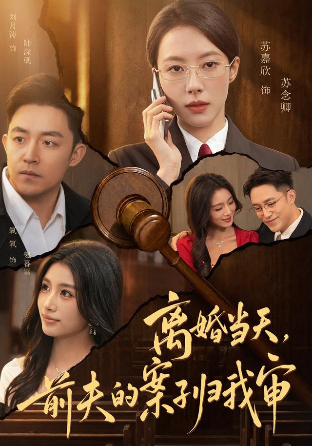 離婚當天，前夫的案子歸我審 短劇封面