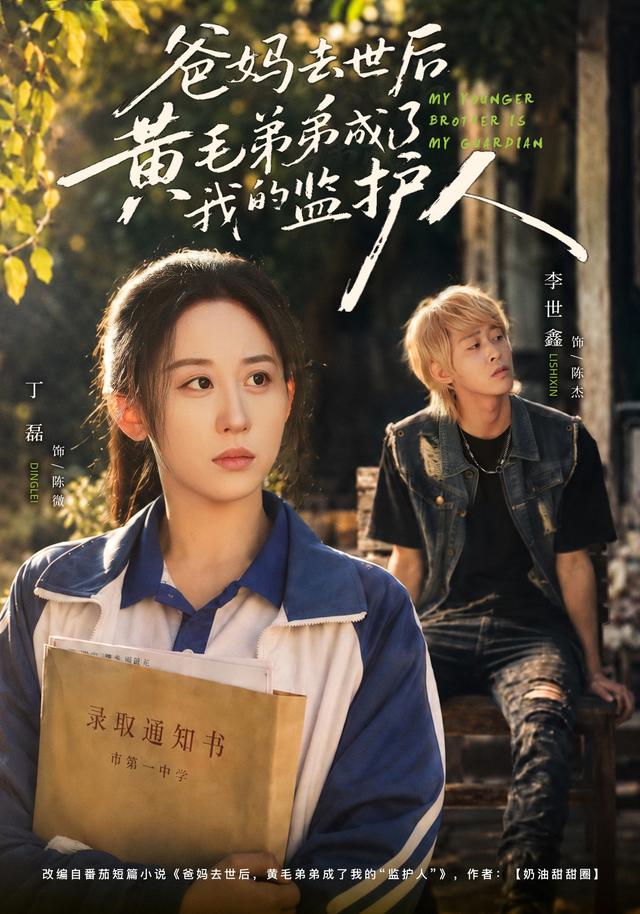 爸媽去世後黃毛弟弟成了我的監護人 短劇封面
