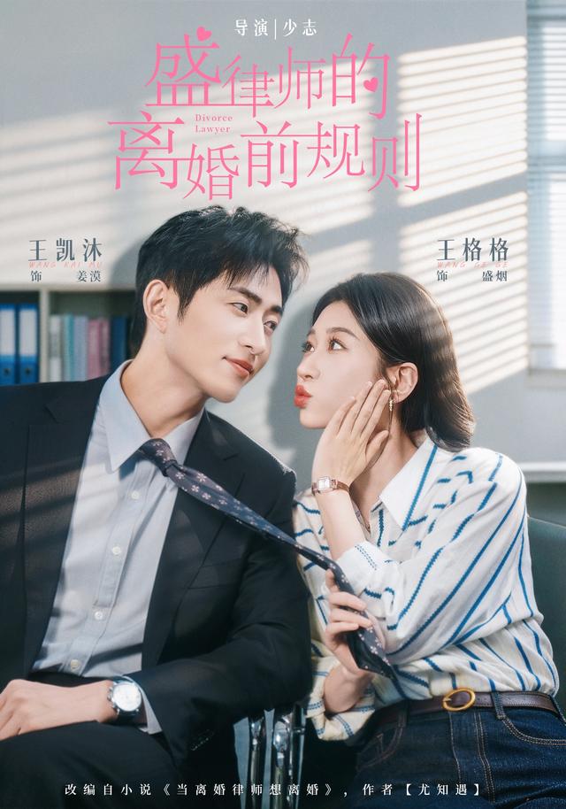 盛律師的離婚前規則 短劇封面